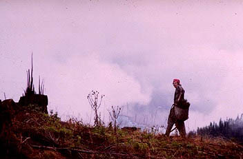 planter_on_ridge