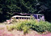 cougarMtnbus